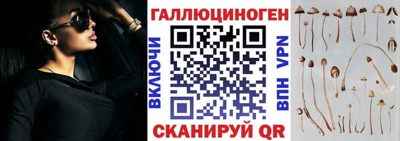 сколько стоит Шенкурск Галлюциногенные грибы мицелий