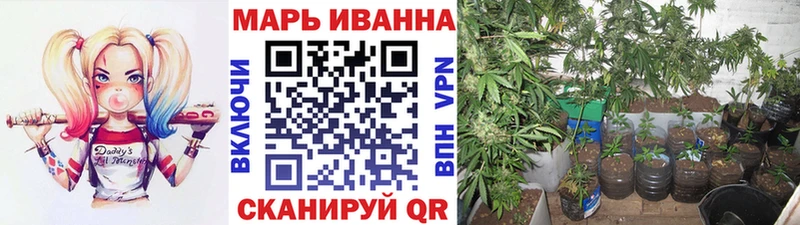 цена наркотик  Шенкурск  ссылка на мегу как зайти  Конопля ГИДРОПОН 